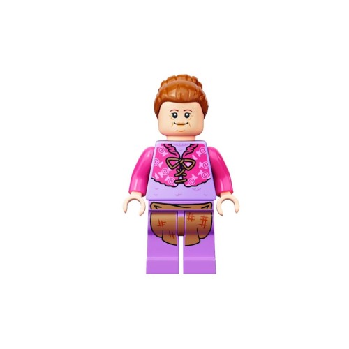 Конструктор LEGO Mrs. Flume 1 деталей (hp292-used)