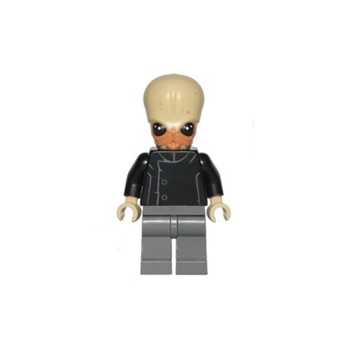 Конструктор LEGO Bith Musician 1 деталей (sw0554)