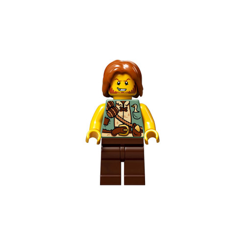 Конструктор LEGO Розкривна книжка 859 деталей (21315) - изображение 5