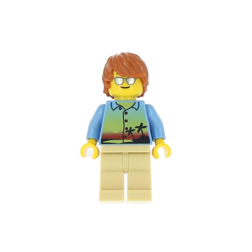 Конструктор LEGO Dad 1 деталей (twn245a)